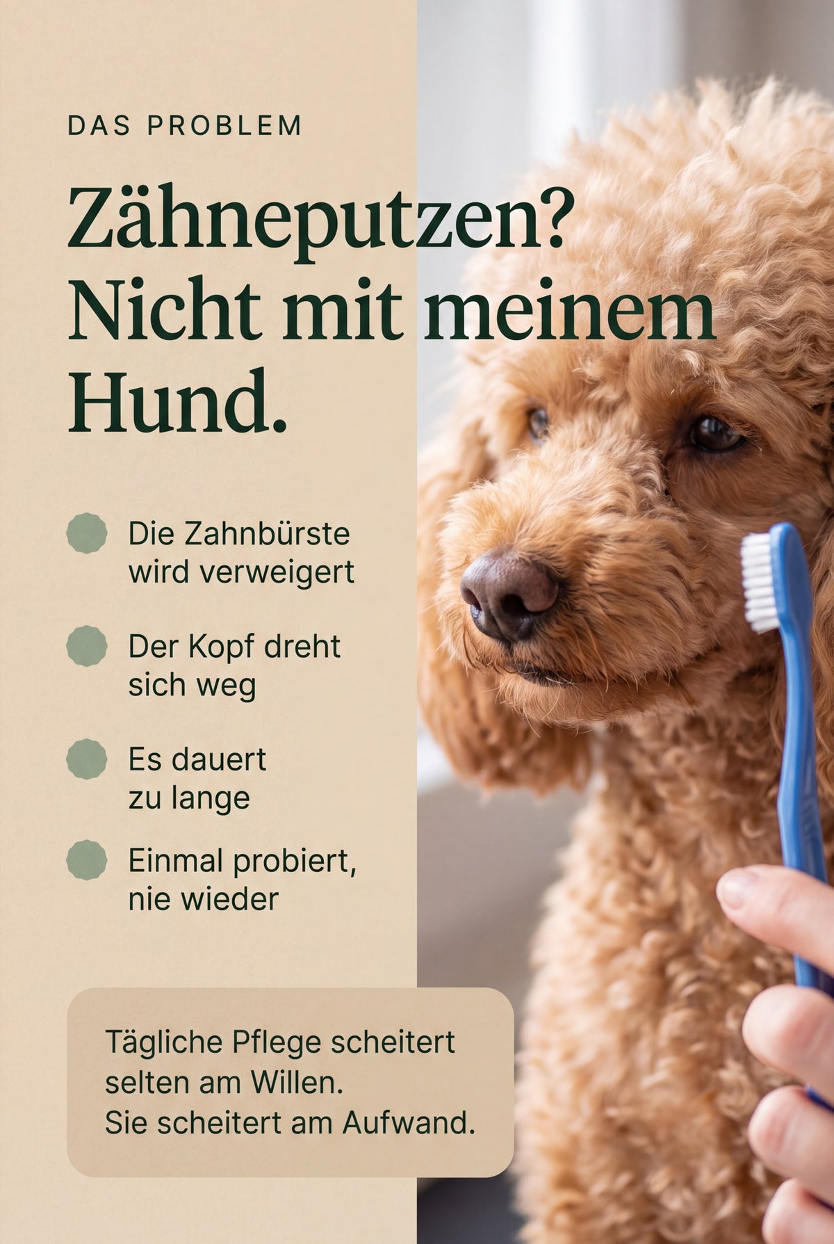 Hund dreht den Kopf von der Zahnbuerste weg. Taegliche Pflege scheitert selten am Willen, sie scheitert am Aufwand