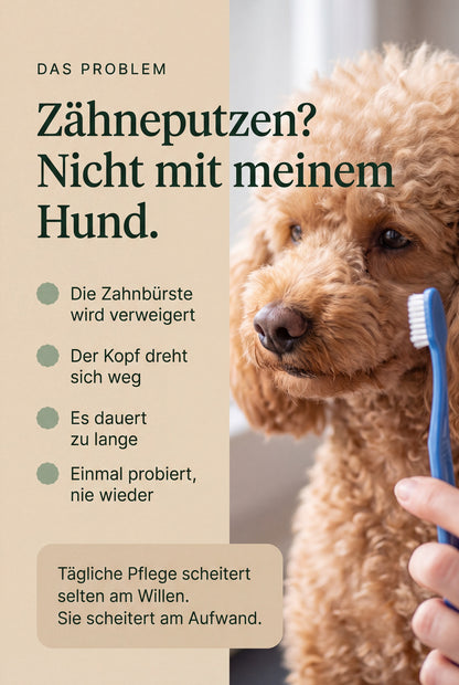 Hund dreht den Kopf von der Zahnbuerste weg. Taegliche Pflege scheitert selten am Willen, sie scheitert am Aufwand