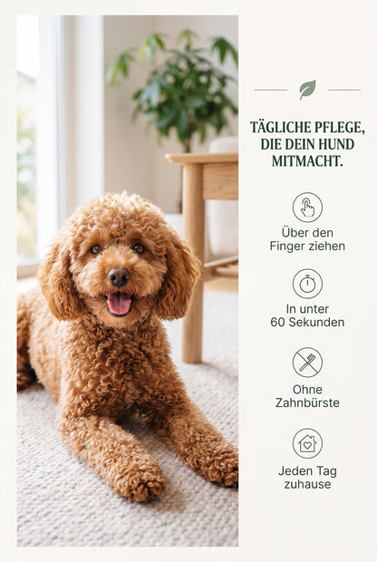 Taegliche Pflege, die dein Hund mitmacht: ueber den Finger ziehen, in unter 60 Sekunden, ohne Zahnbuerste, jeden Tag zuhause