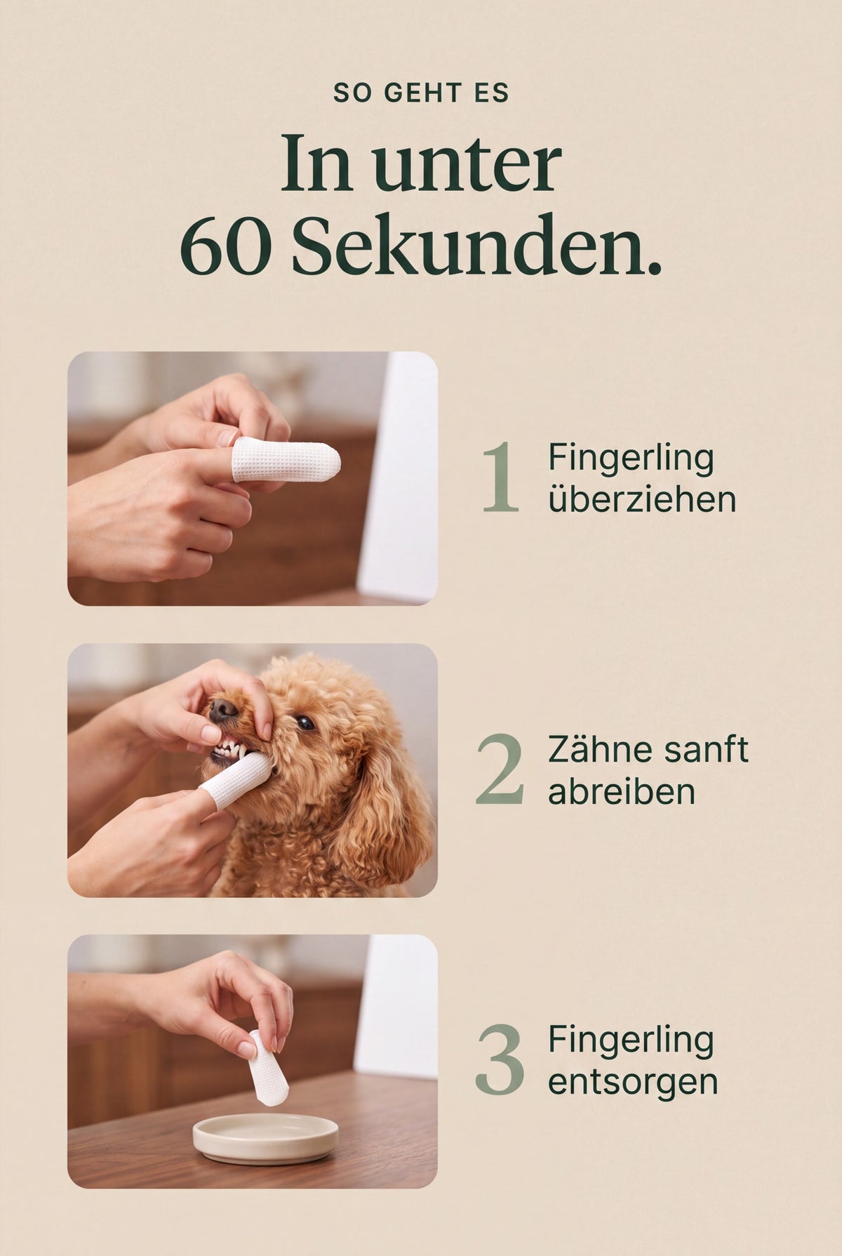 In unter 60 Sekunden in drei Schritten: Fingerling ueberziehen, Zaehne sanft abreiben, Fingerling entsorgen